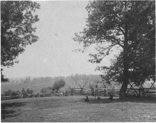 1885 Fence